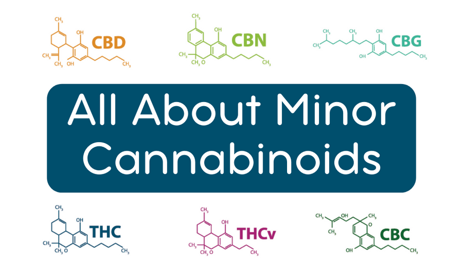 All about minor cannabinoids