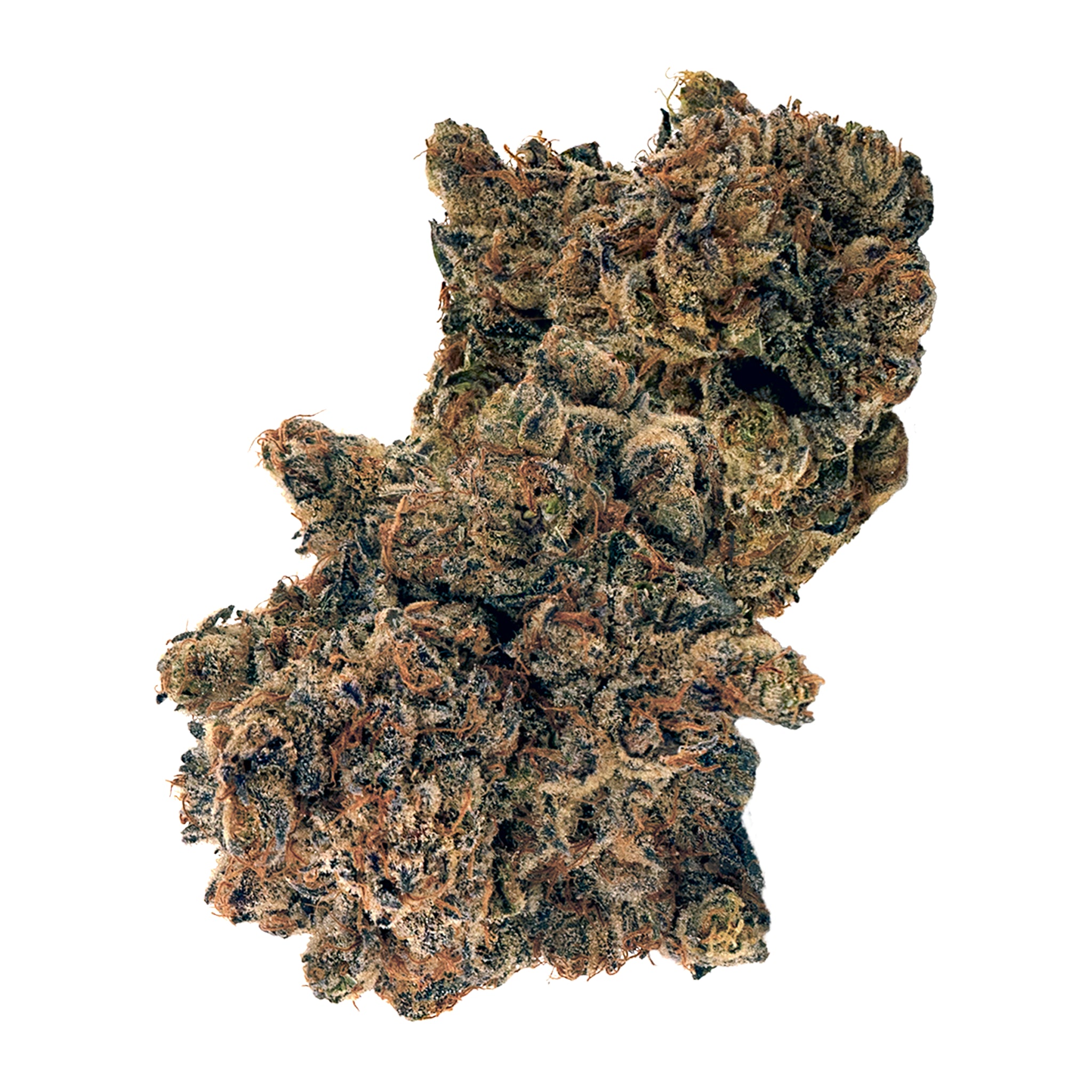 This image features a close-up view of a dense, compact bud of DOJA OG Deluxe Top Colas, weighing 14g. The bud is rich in color, displaying a dark brown hue with hints of purple and a coating of trichomes that reflect light, giving it a slightly shiny appearance.