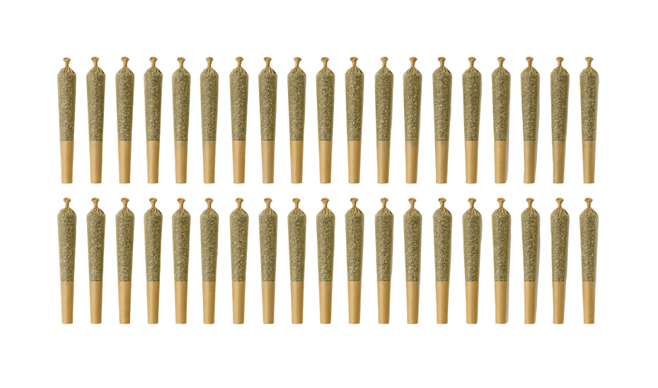 Twenty-four rolled joints arranged in two rows of twelve on a plain off-white background.