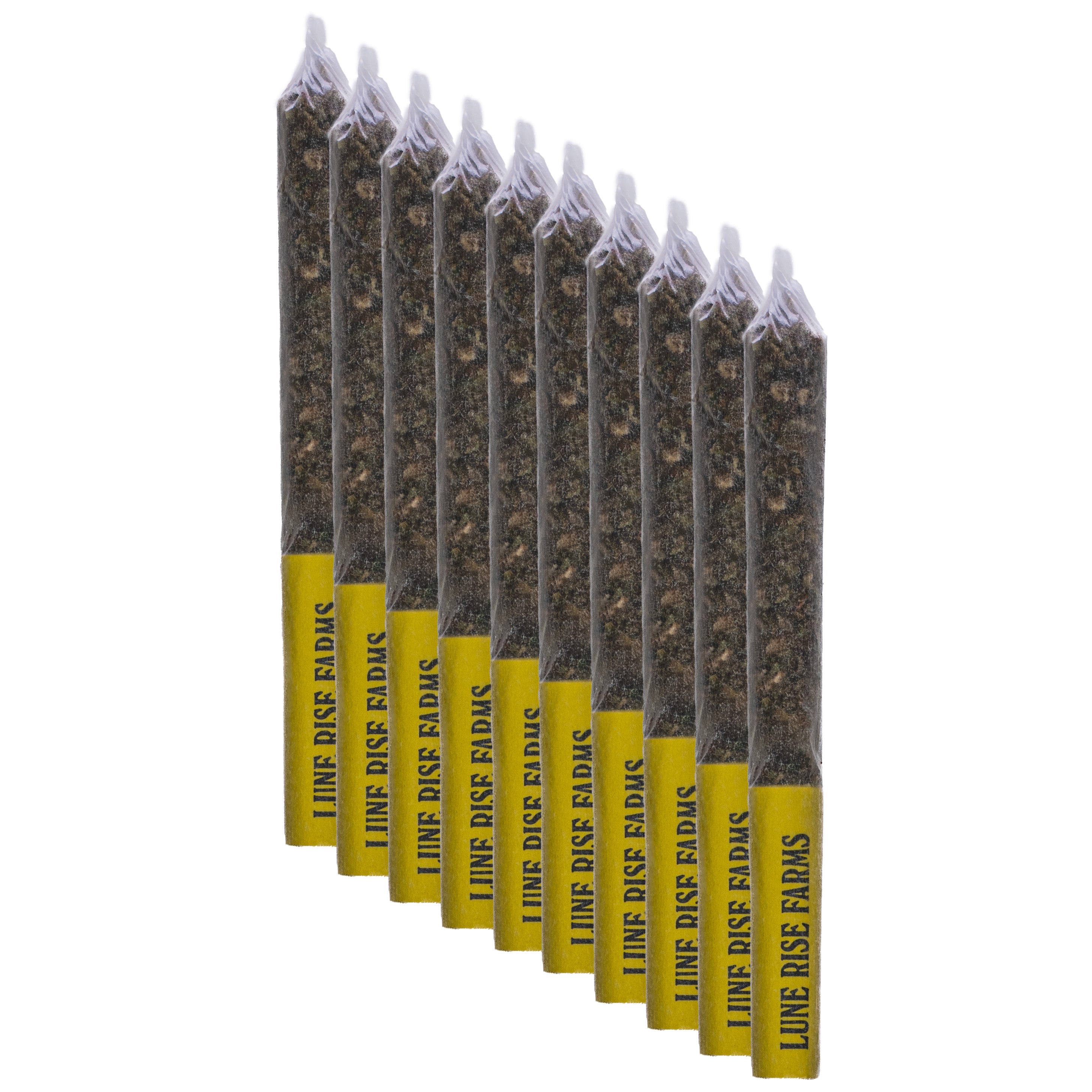 yelllow tip prerolls on white background
