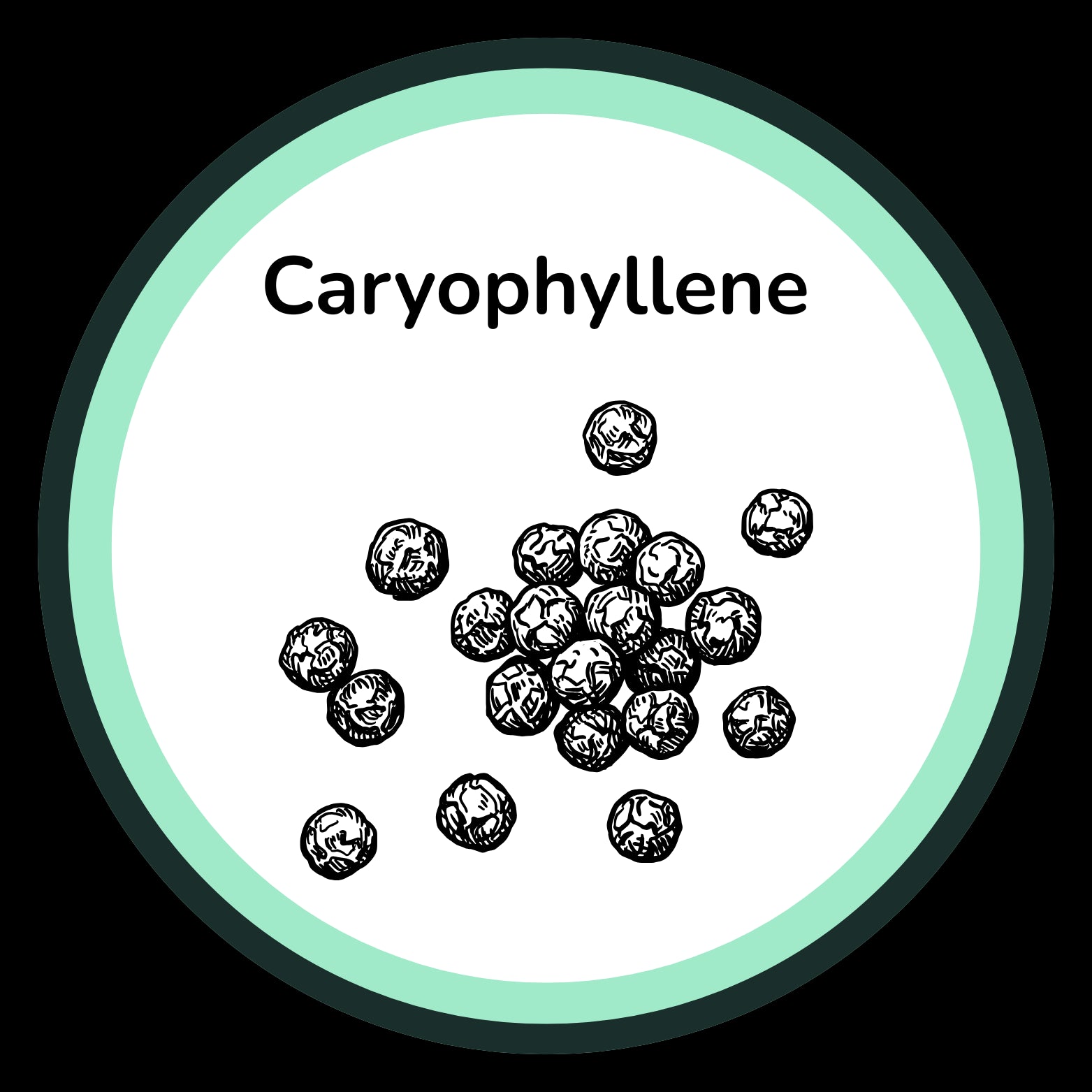 Illustration of caryophyllene molecules with 'Caryophyllene' text inside a circular border.