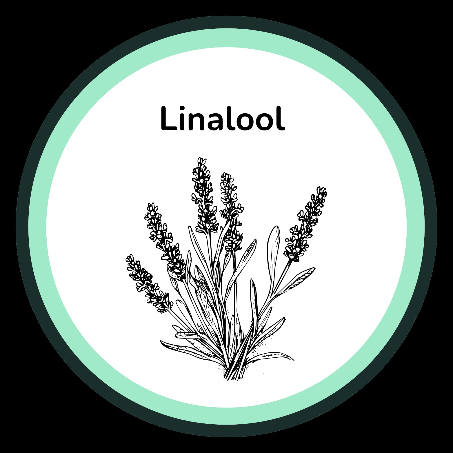 Illustration of lavender with 'Linalool' text inside a circular border