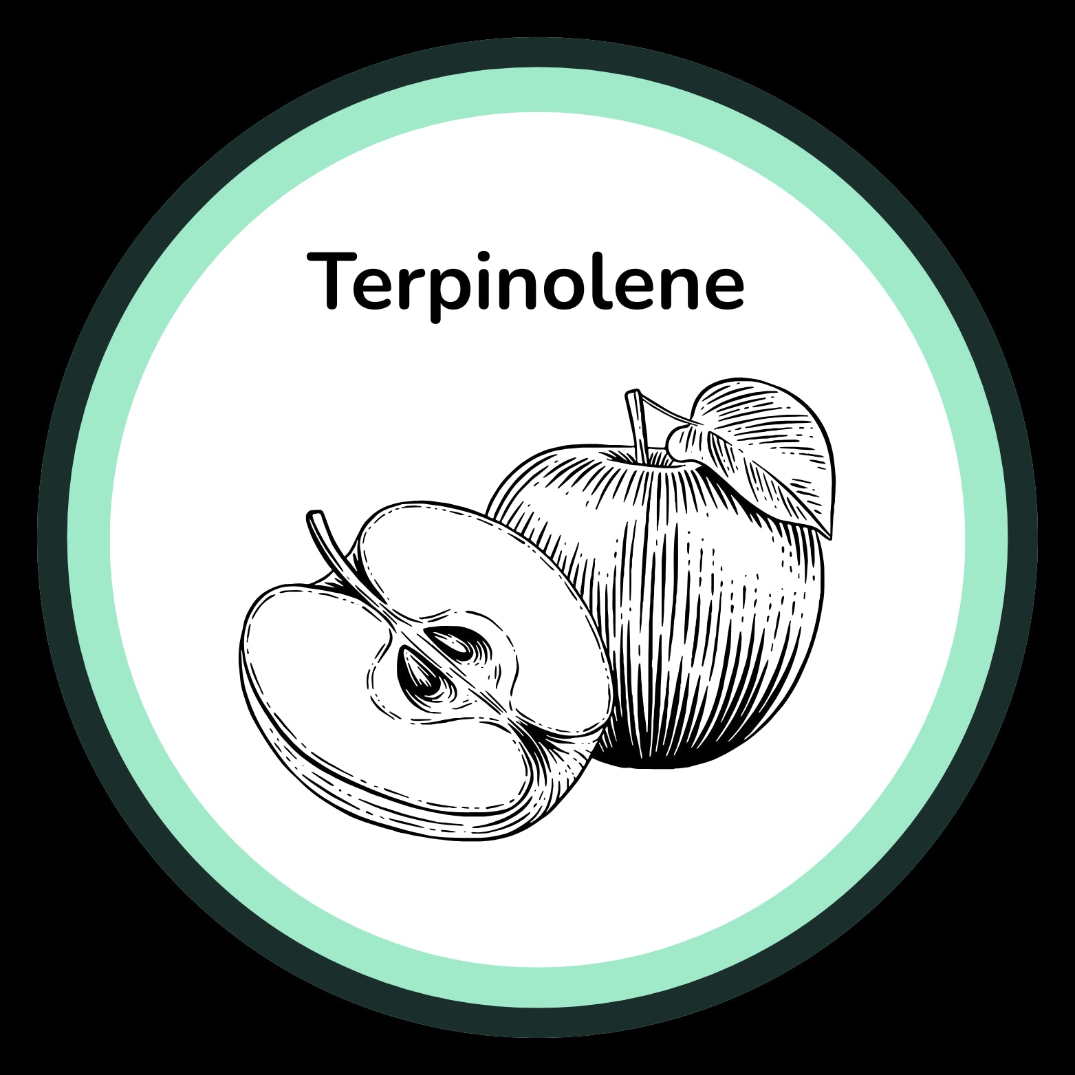 Illustration of apples with 'Terpinolene' text inside a circular border