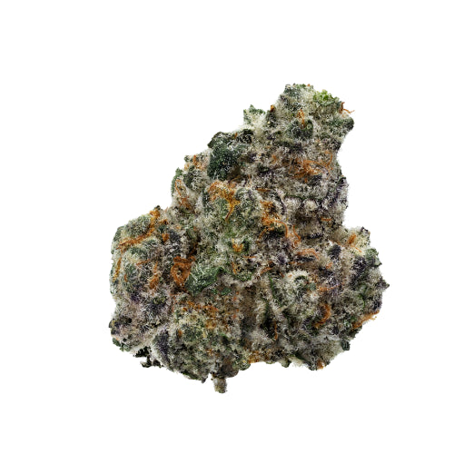 Close-up of a cannabis bud on a white background