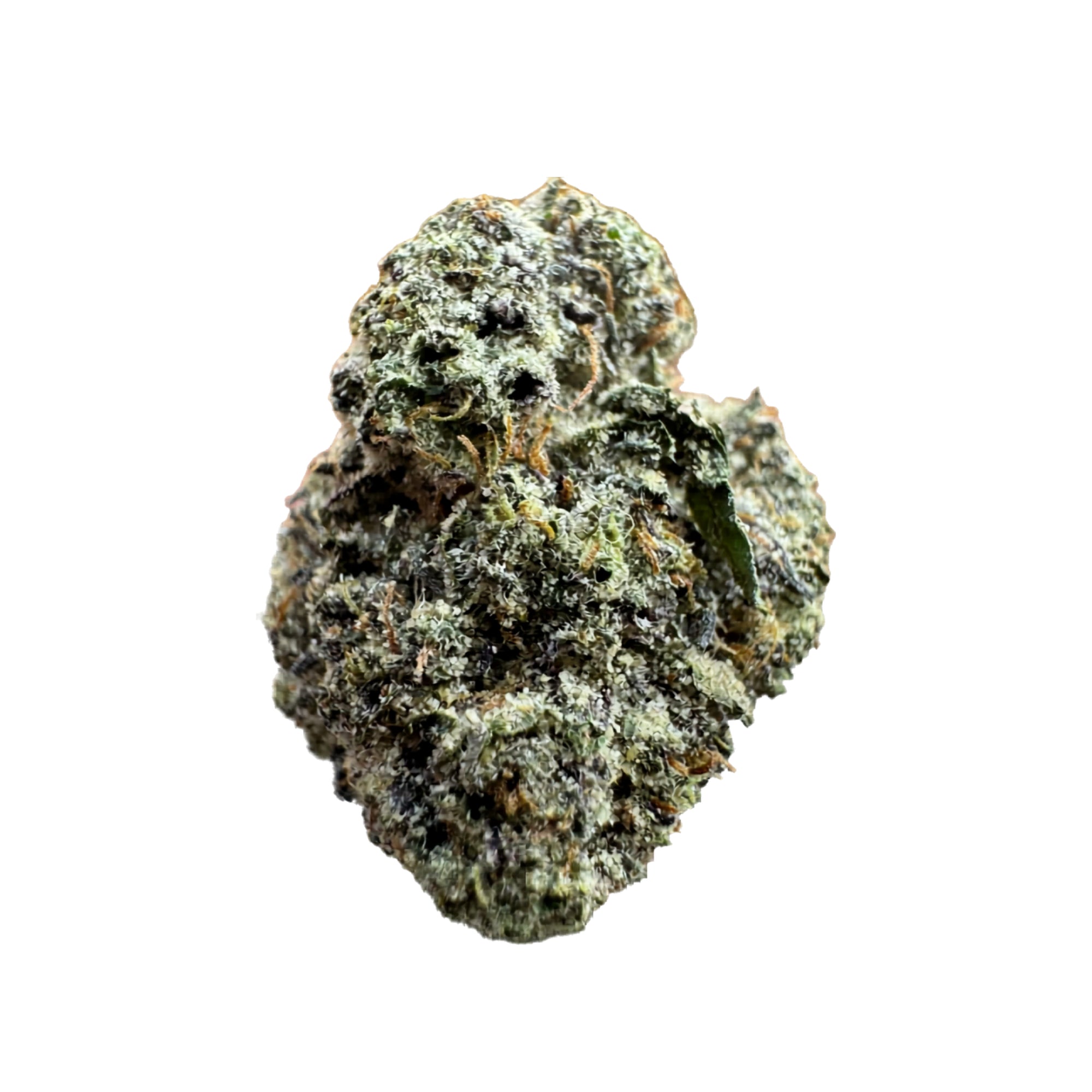 TVFS 6 Clémentine x Purple Punch Bud