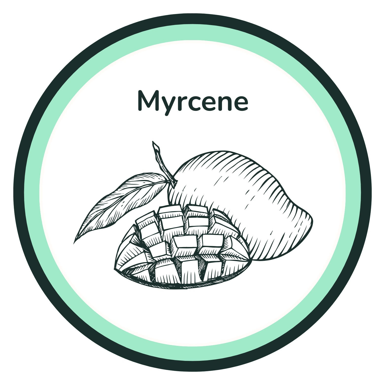 Illustration of a mango with leaves labeled 'Myrcene' inside a circular border.
