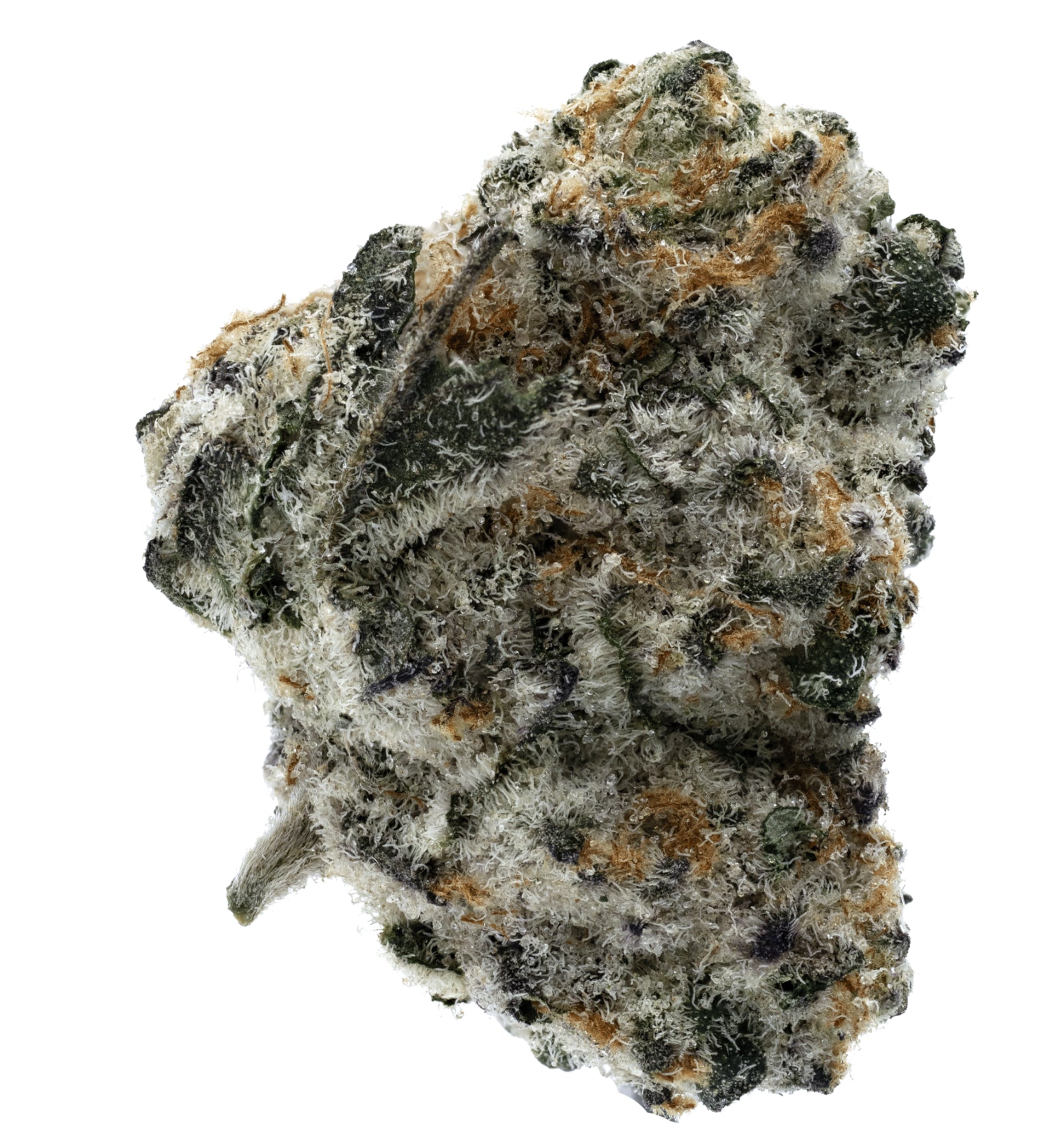 cannabis on a white background