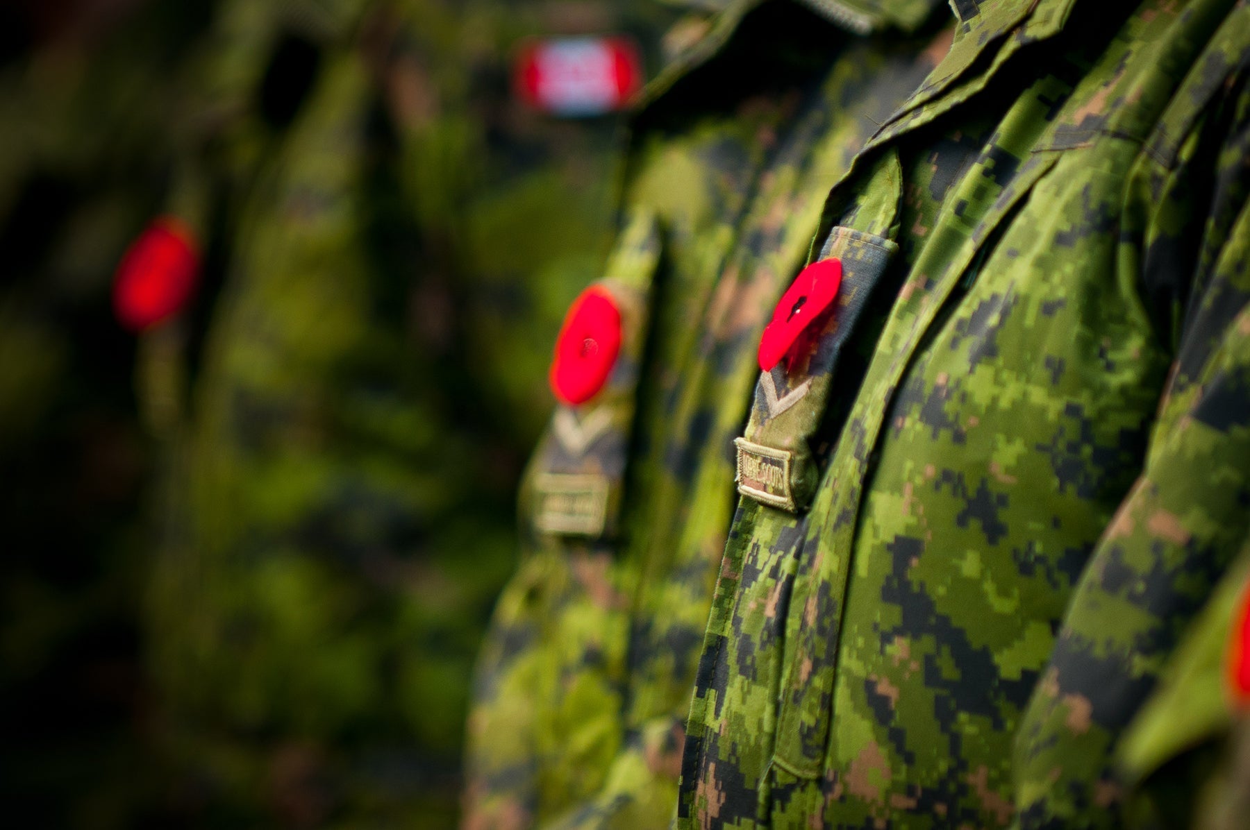 A close-up view shows several individuals in Canadian military camouflage uniforms, standing in a line, with red poppies pinned to the lapels of their jackets. The focus is on the upper torsos, and the background is blurred.