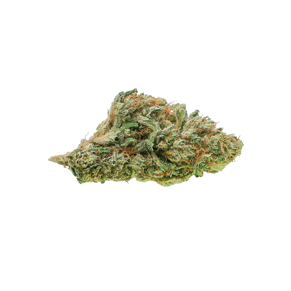 Close-up of a cannabis bud on a white background