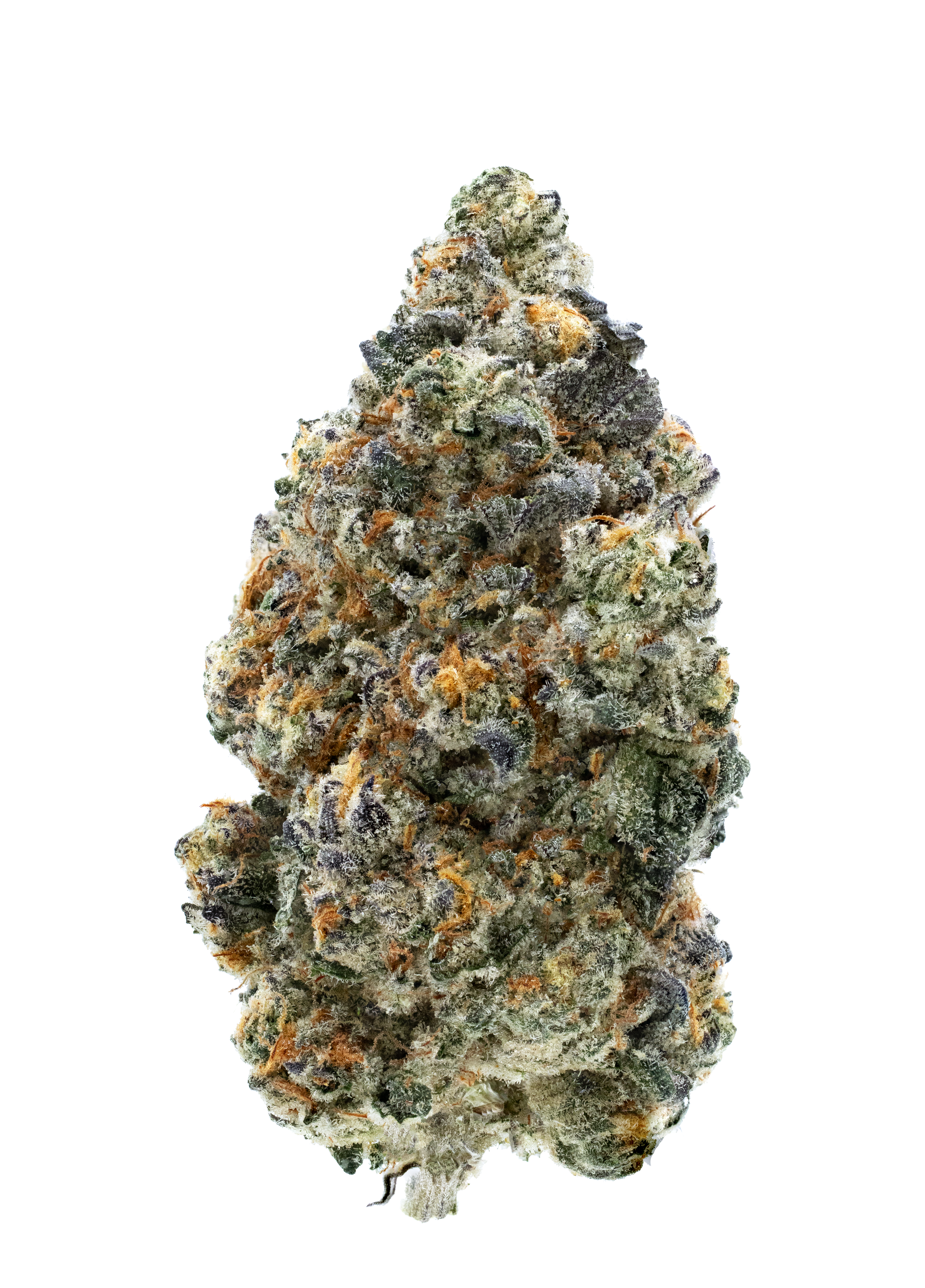 Close-up of a cannabis bud on a white background