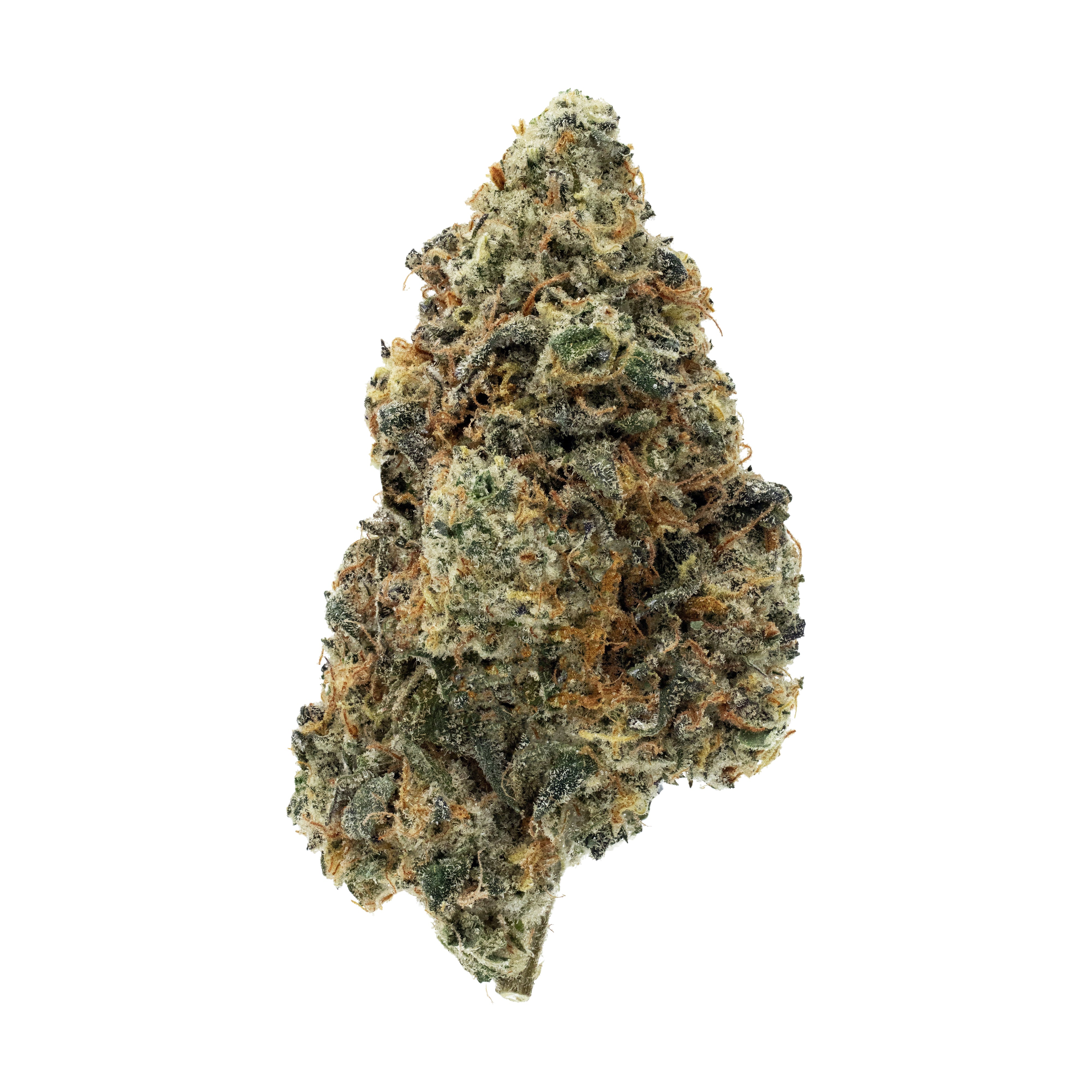 Close-up of a cannabis bud on a white background