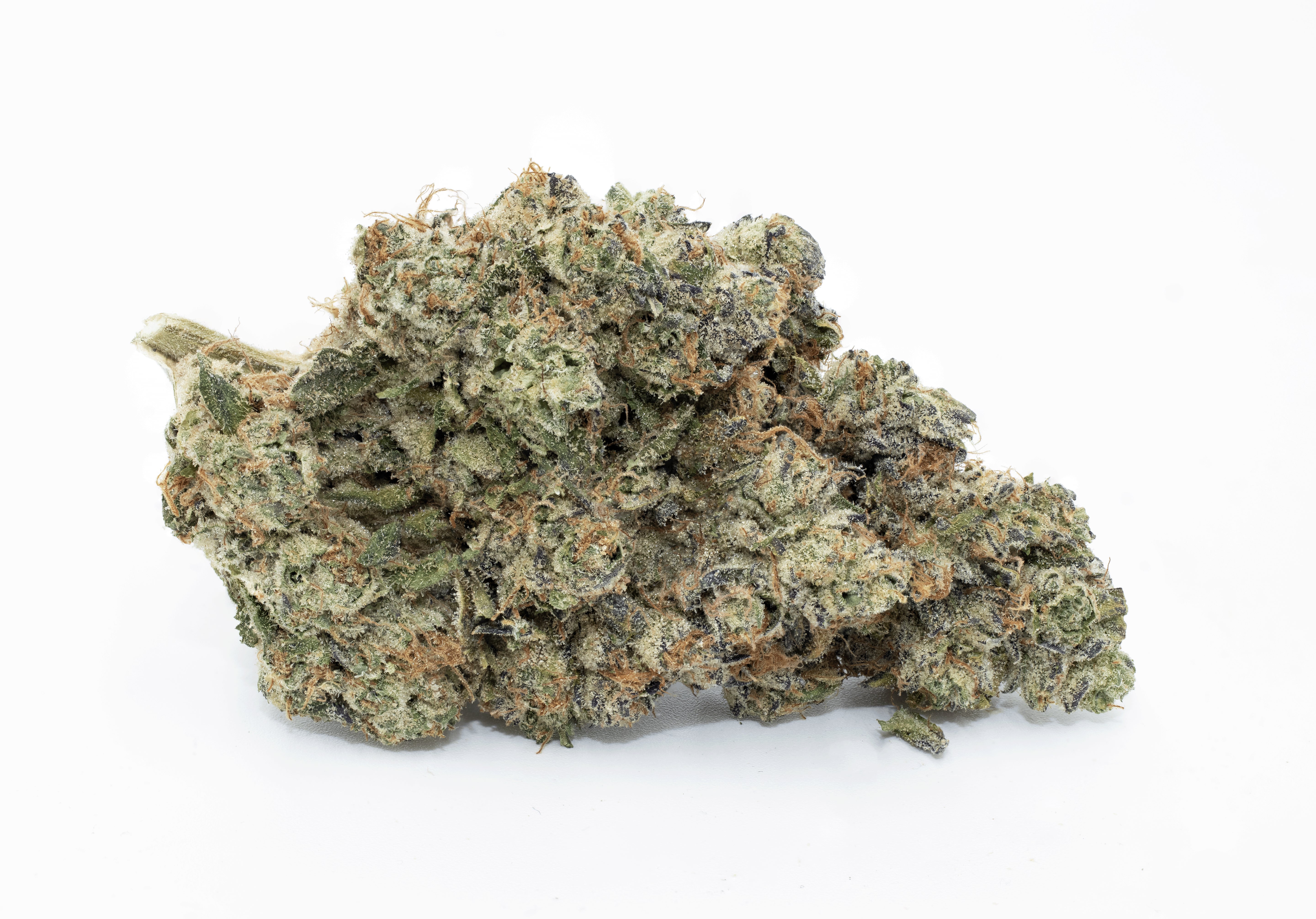 Close-up of a cannabis bud on a white background