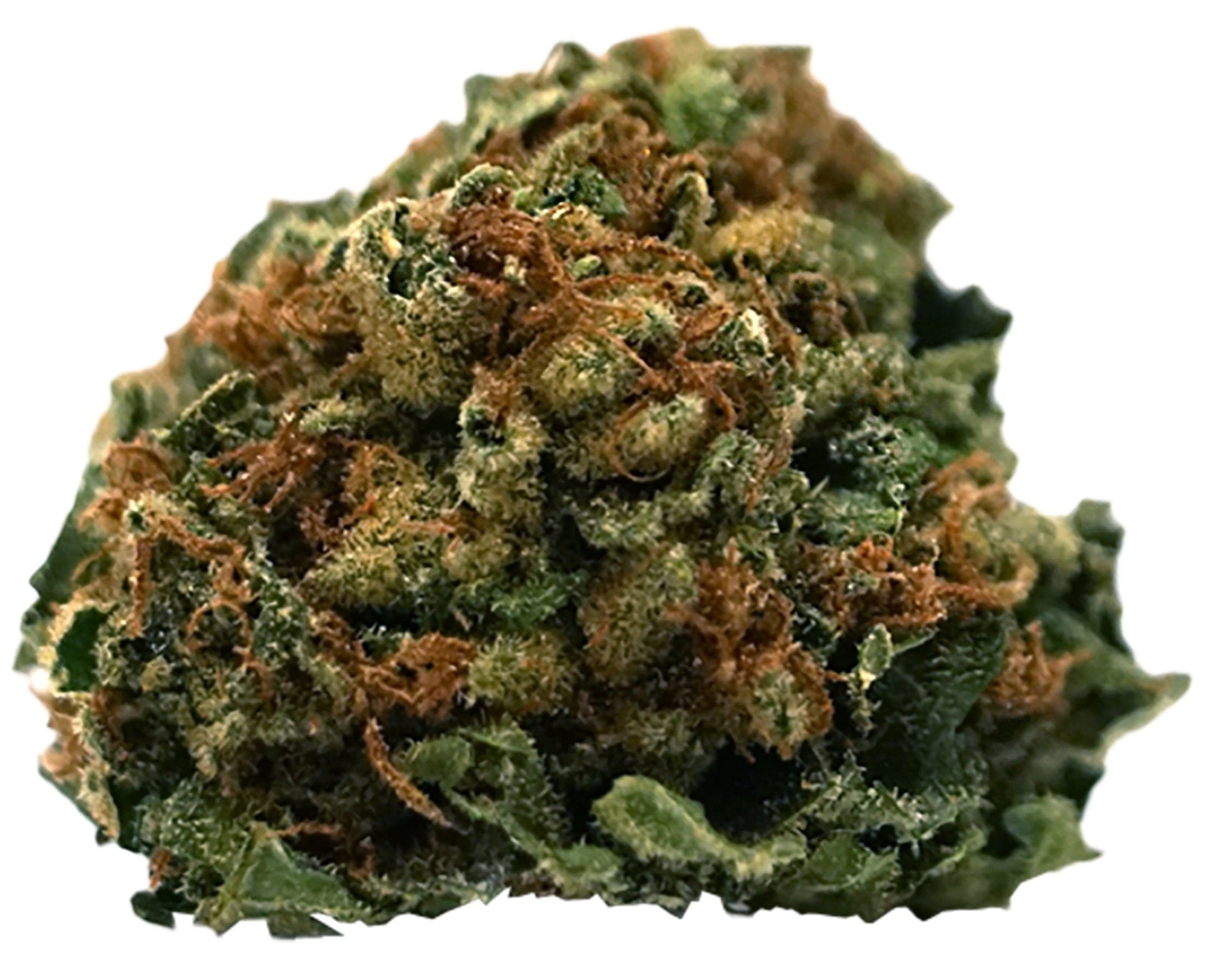 A close-up image of a cannabis bud with a mix of green and brown colors, indicating varying THC levels.