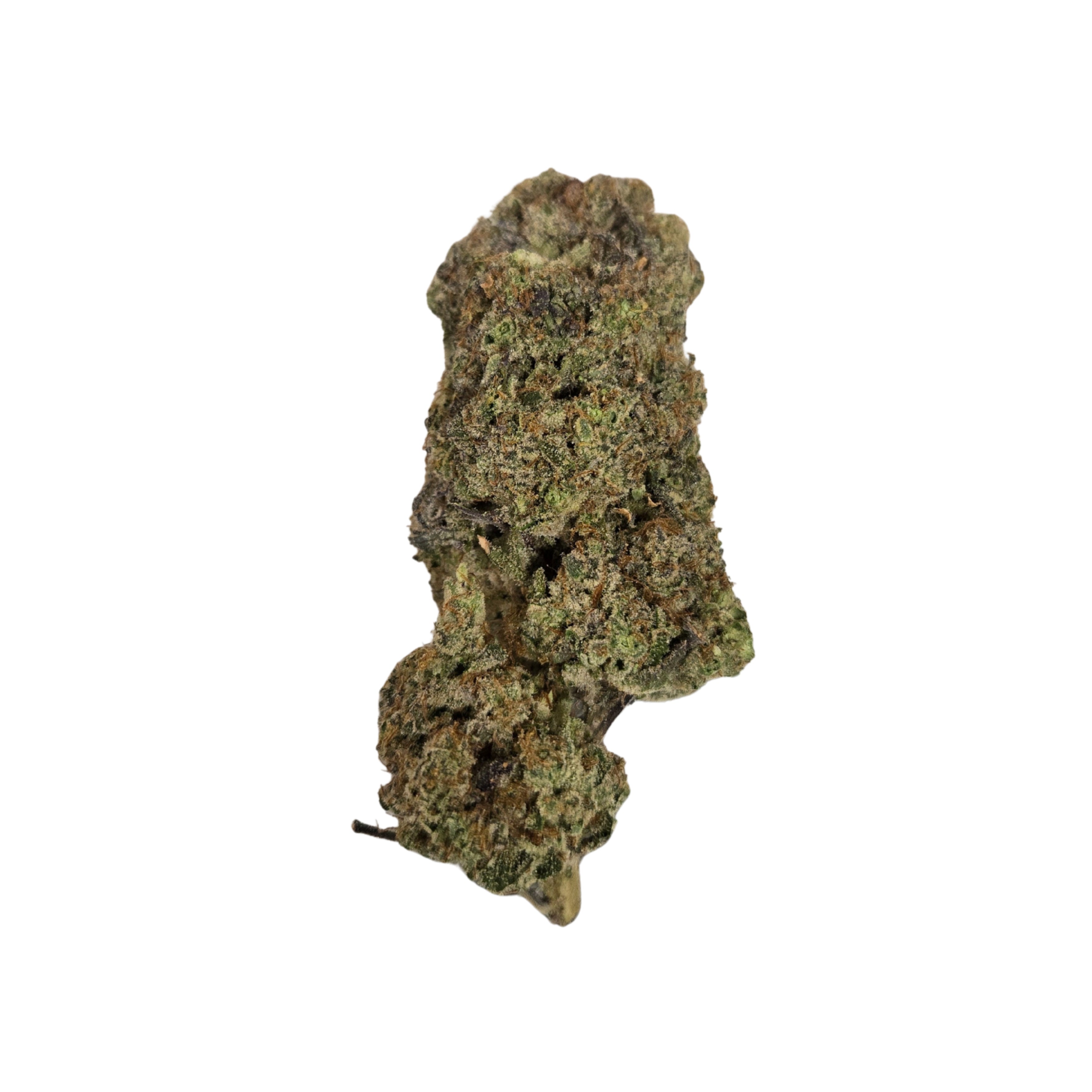 TVFS 1 - Orange Cookies x MAC
