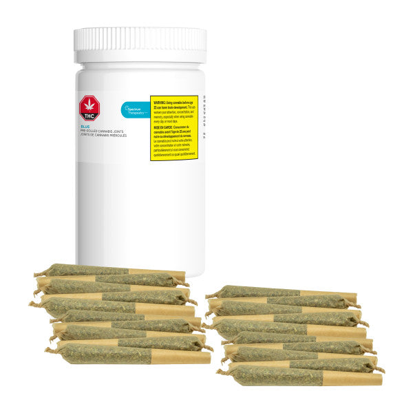 Jar of pre-rolled joints with a white background