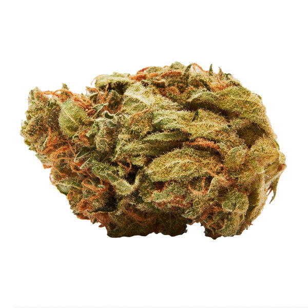 A close-up image of a cannabis bud with a rich green color and visible orange hairs.