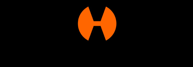 storz and bickel logo