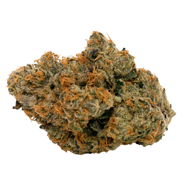 Close-up of a cannabis bud with orange trichomes on a white background