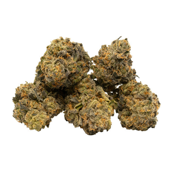 Close-up of dried cannabis buds on a white background