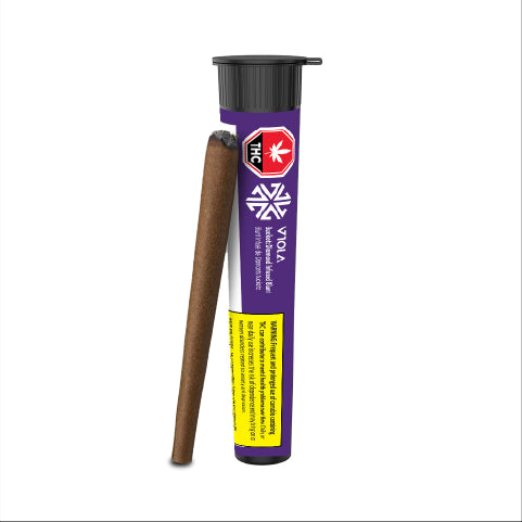 A packaged Viola Bucketz Diamonds-Infused Blunt Pre-Roll with branding and product information displayed on the label.