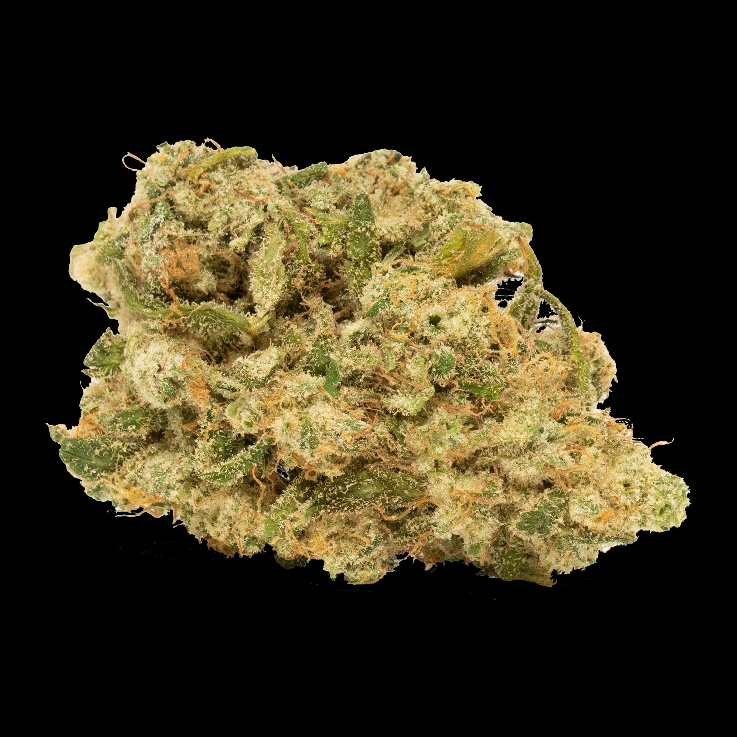 A close-up image of a cannabis bud showing green leaves with some purple and yellow hues.