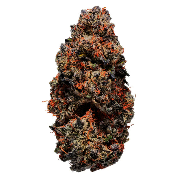 A close-up image of a single cannabis bud with dense foliage, featuring orange hairs and a trichome-covered surface.