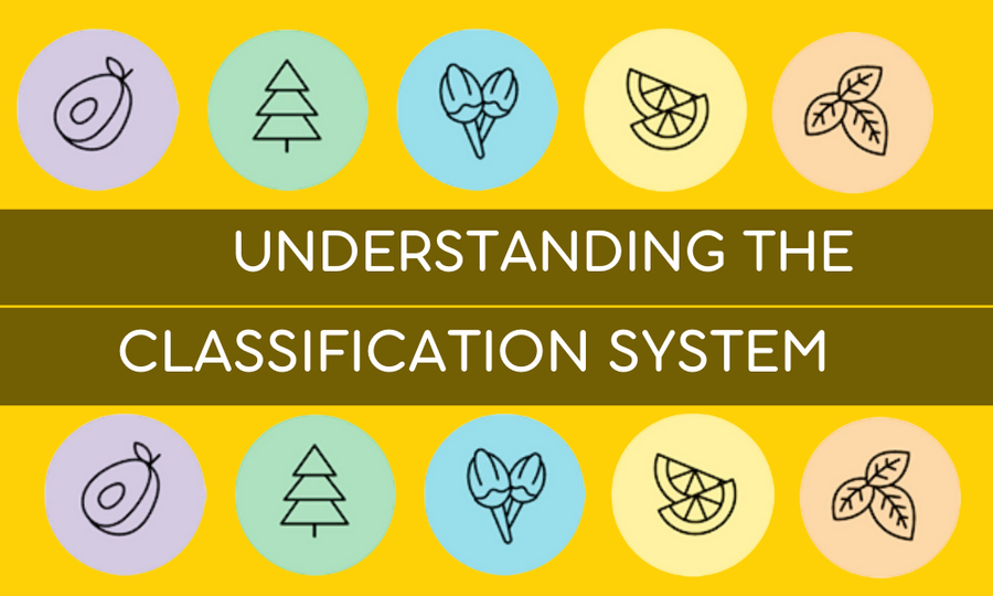 Spectrum Therapeutics Medical Cannabis - Understanding the classification system 