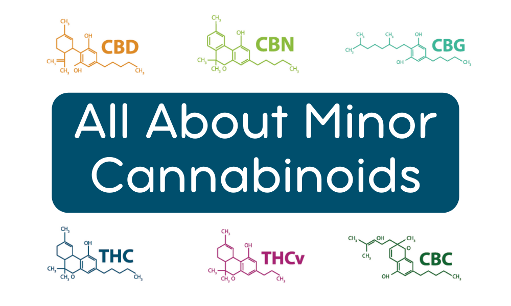 All about minor cannabinoids