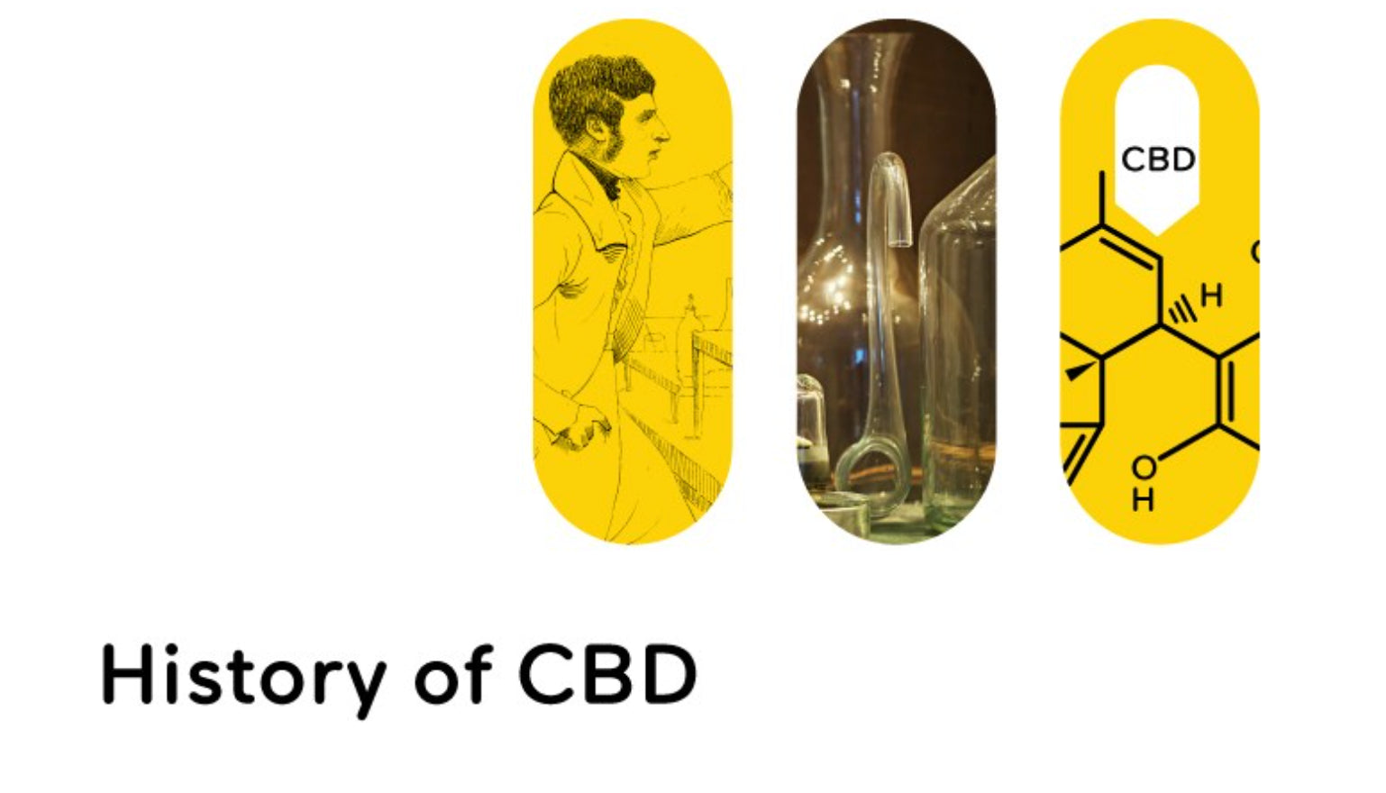 CBD and Its Rise to Medical Status