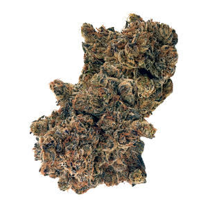 This image features a close-up view of a dense, compact bud of DOJA OG Deluxe Top Colas, weighing 14g. The bud is rich in color, displaying a dark brown hue with hints of purple and a coating of trichomes that reflect light, giving it a slightly shiny appearance.