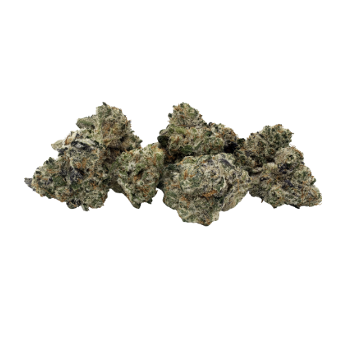 Close-up of dried cannabis buds on a white background