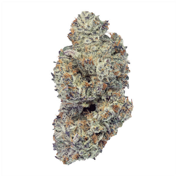 Close-up of 7 Acres' chocolate cream cookies bud