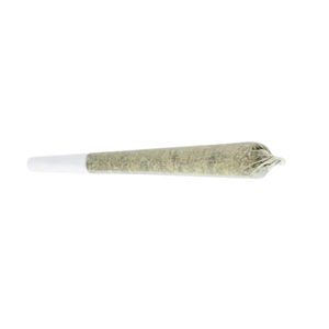 pre roll joint with filter