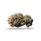 A single dried cannabis bud with dense trichome coverage in shades of green, orange, and brown, centered on a plain white background with a soft drop shadow.
