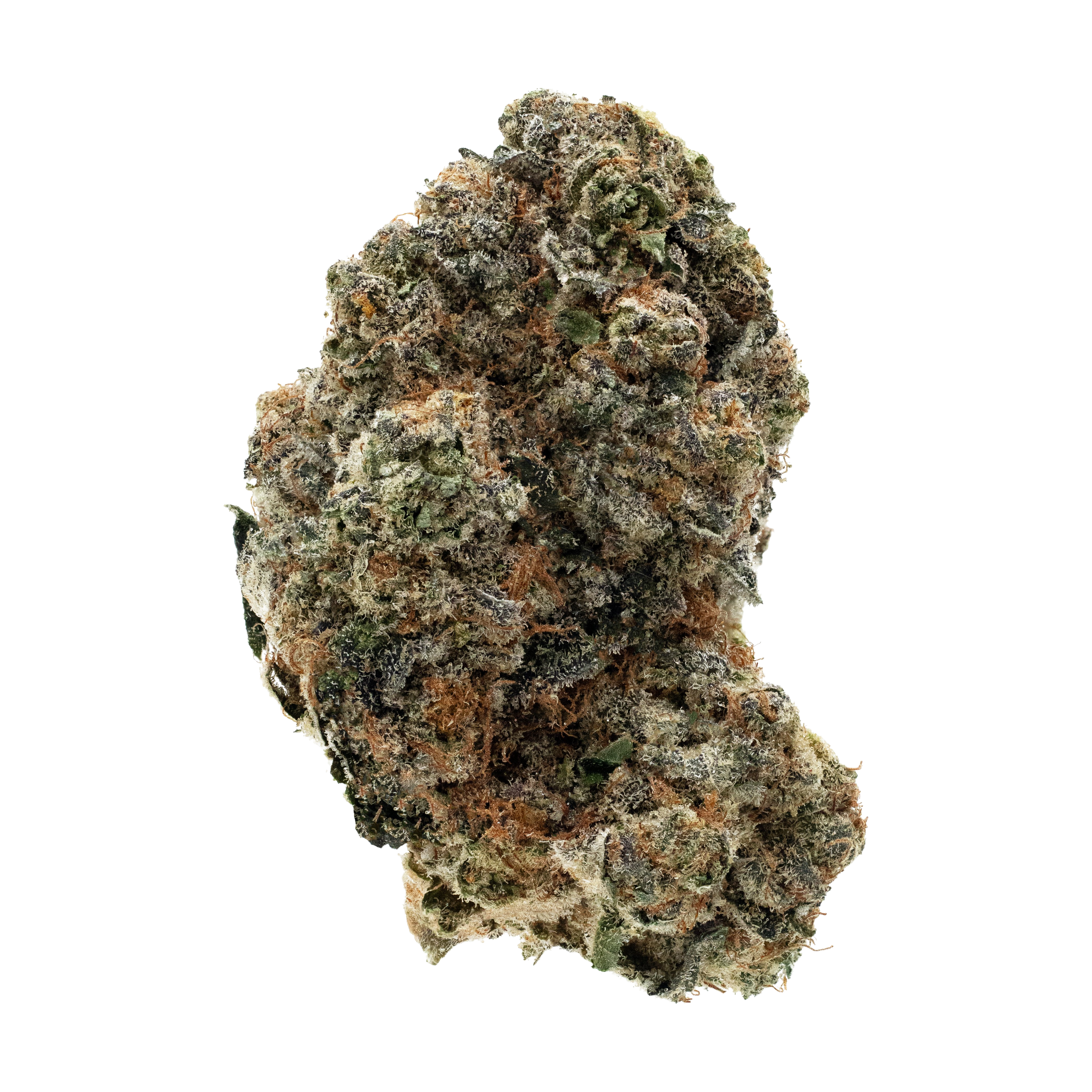 Close-up of a cannabis bud on a white background