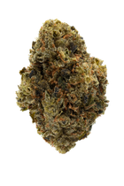 Close-up of a cannabis bud on a white background
