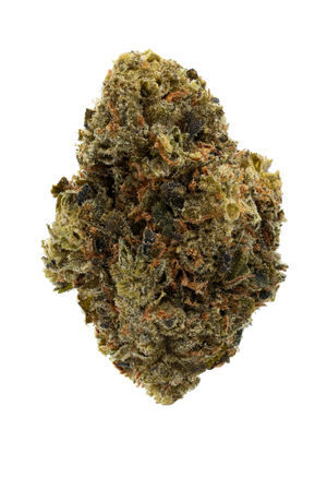 Close-up of a cannabis bud on a white background