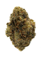 Close-up of a cannabis bud on a white background