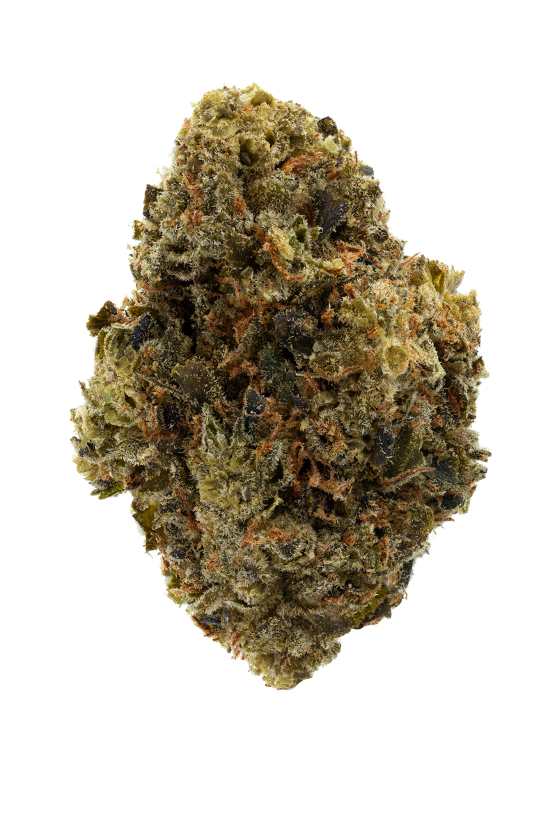 Close-up of a cannabis bud on a white background