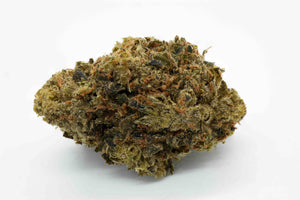 Close-up of a clump of cannabis buds on a white background