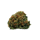 Close-up of a cannabis bud on a white background