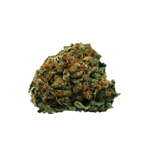 Close-up of a cannabis bud on a white background