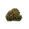 Close-up of a cannabis bud on a white background