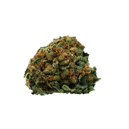 Close-up of a cannabis bud on a white background