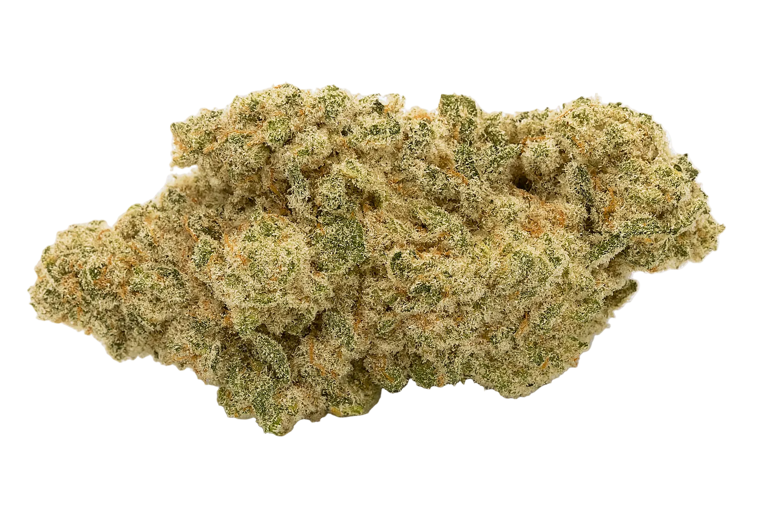 Close-up of a cannabis bud on a white background