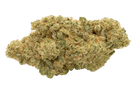 Close-up of a cannabis bud on a white background