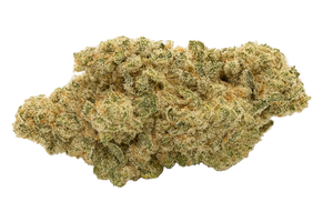 Close-up of a cannabis bud on a white background
