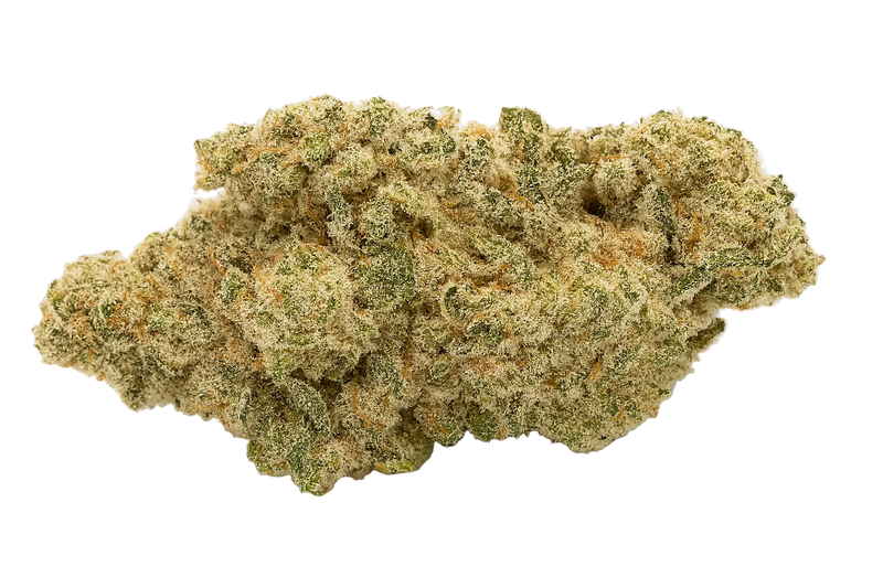 Close-up of a cannabis bud on a white background
