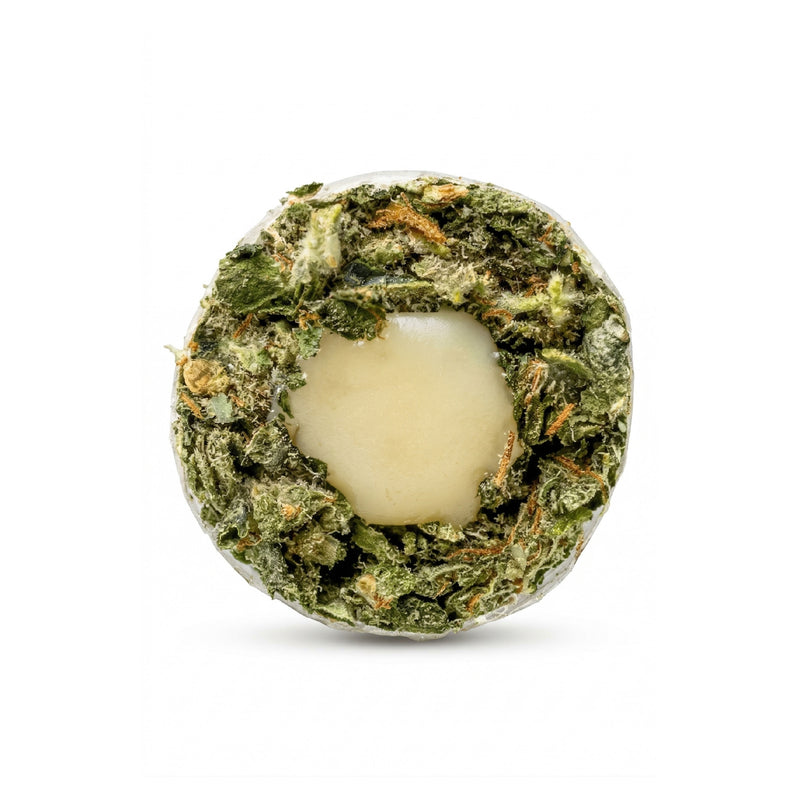 A round, cross-section style product shot on a white background, showing a textured outer ring of dried green plant material with orange flecks and a pale cream center.