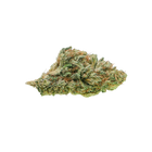 Close-up of a cannabis bud on a white background